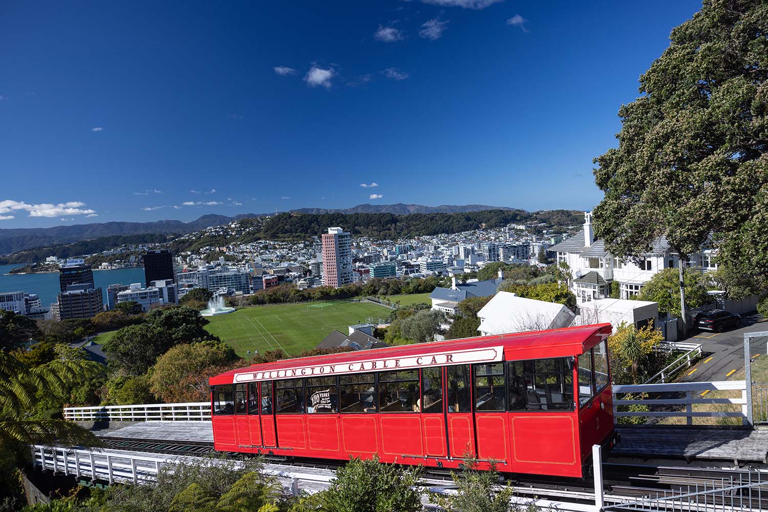 Affordable places for Nepali students in Wellington