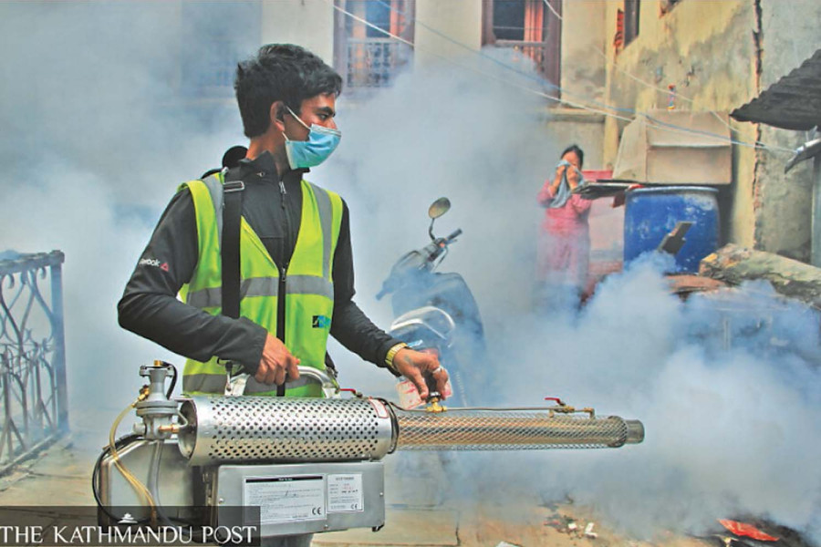 Winter no check for dengue infections. Health authorities mull multi-year action plan