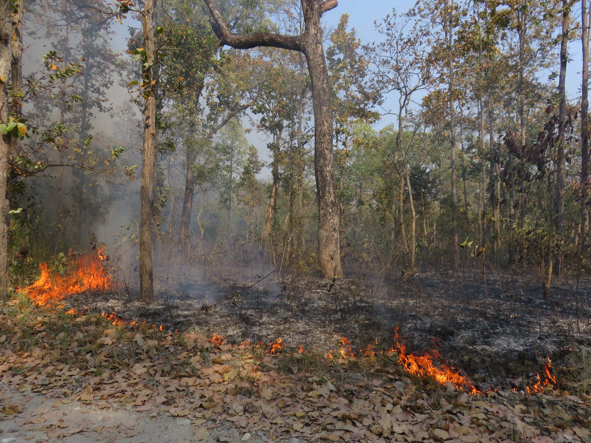 22 killed, 87 injured in fire incidents within a month