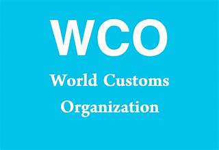 Nepal pilots online customs valuation system to boost trade transparency