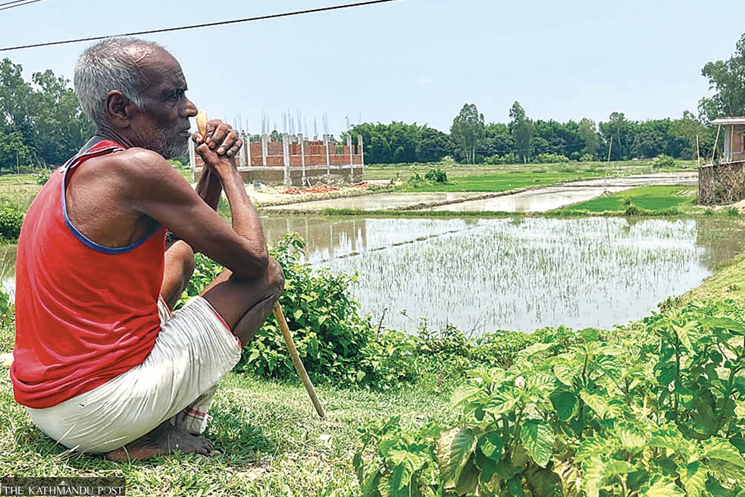Nepali farmers battle surging plantation costs as delayed monsoon dims paddy outlook