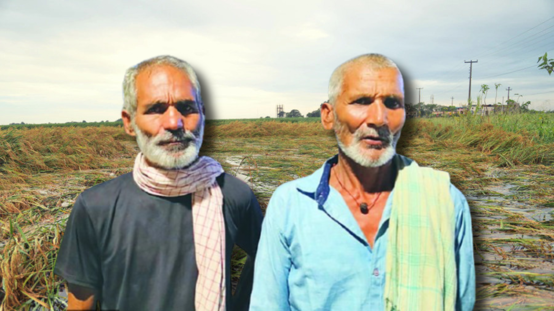 The overlooked impact of inadequate rainfall and fertiliser shortages in Nepal’s agriculture sector