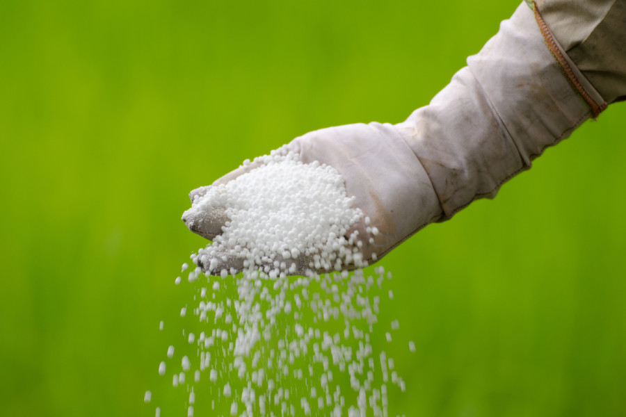 Beyond fertiliser: Why decision-making is important for Nepal’s investment framework