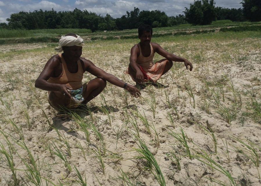 From crisis to bankruptcy