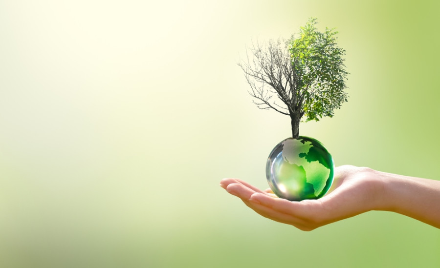 Environmental security means national security. It cannot be secured through treaties alone