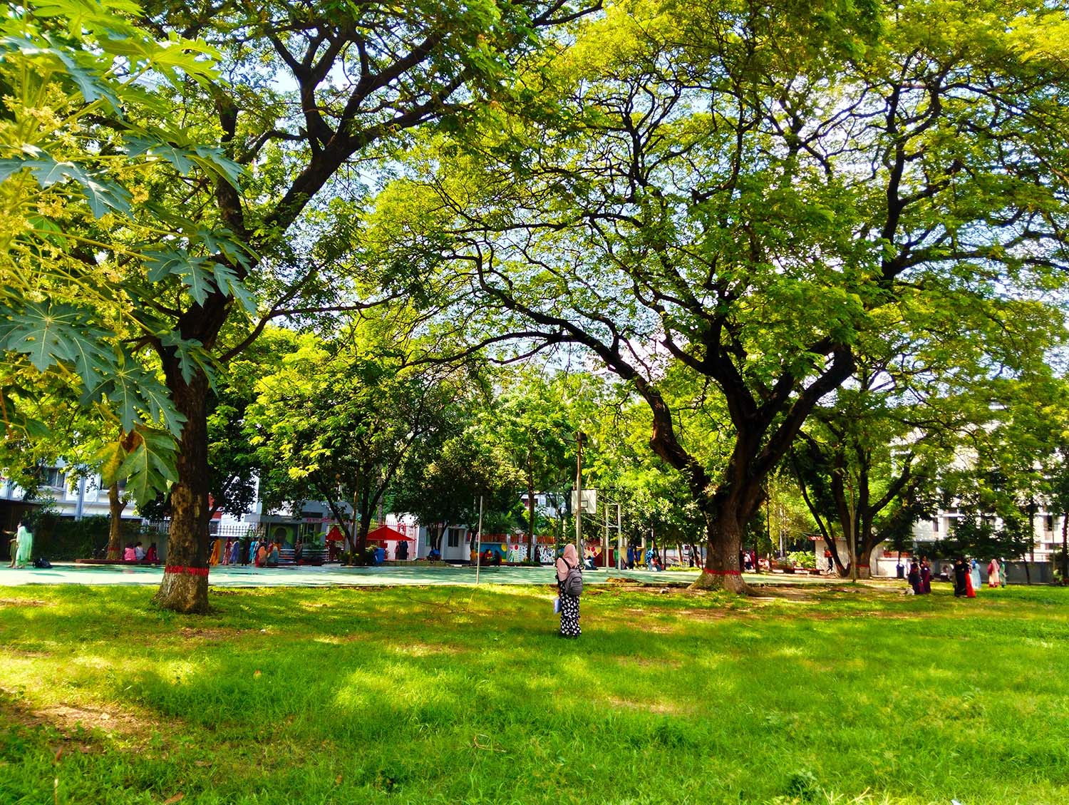 Budget-friendly neighbourhoods for Nepali students in Dhaka