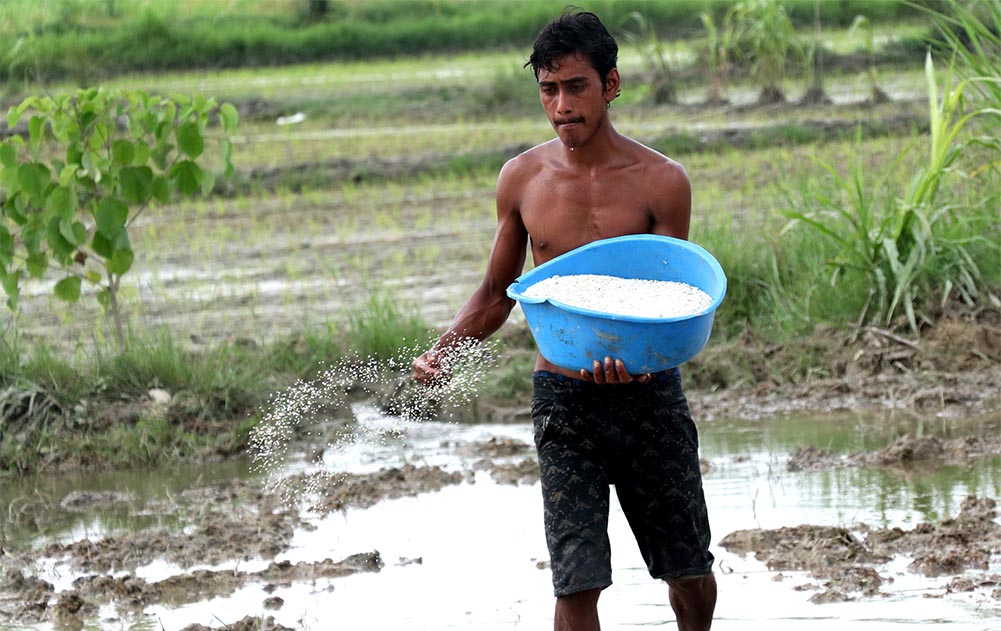 Nepal turns to India for emergency fertiliser import as global prices surge