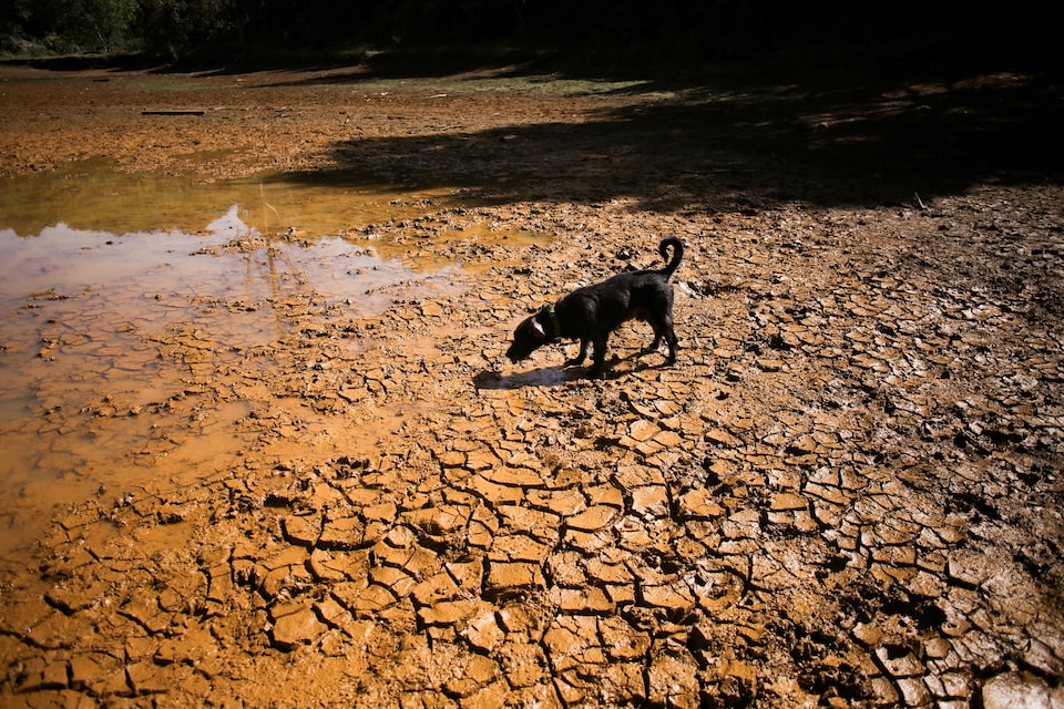What is a ‘super El Niño’ and how will it affect the weather?